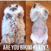 Женя Фролов