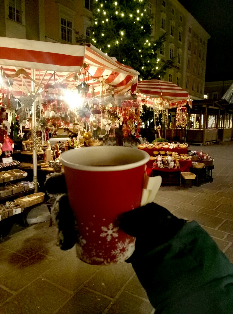 Рождественско-новогодний трип Германия-Австрия-Венгрия Рождественско-новогодний трип Германия-Австрия-Венгрия
