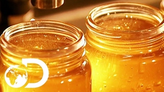🔴HONEY | How It's Made