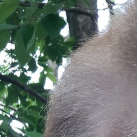 Юлия Шептунова