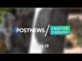 07.06 | 5 фактов о коалах