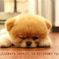Юлия Капинус | Москва