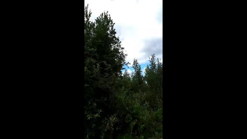 Кристина Бабакина - Live