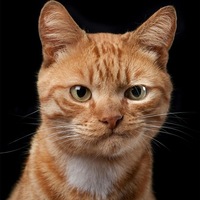Сергей Трифонов | Иваново