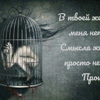 Алина Высотская