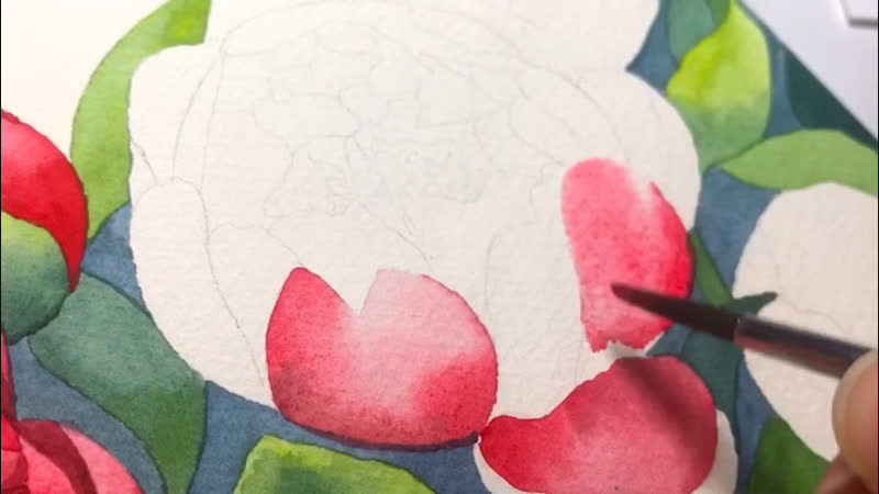 Process video. Peony