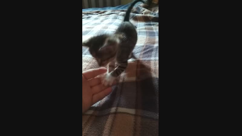 VID_20181130_101112.mp4