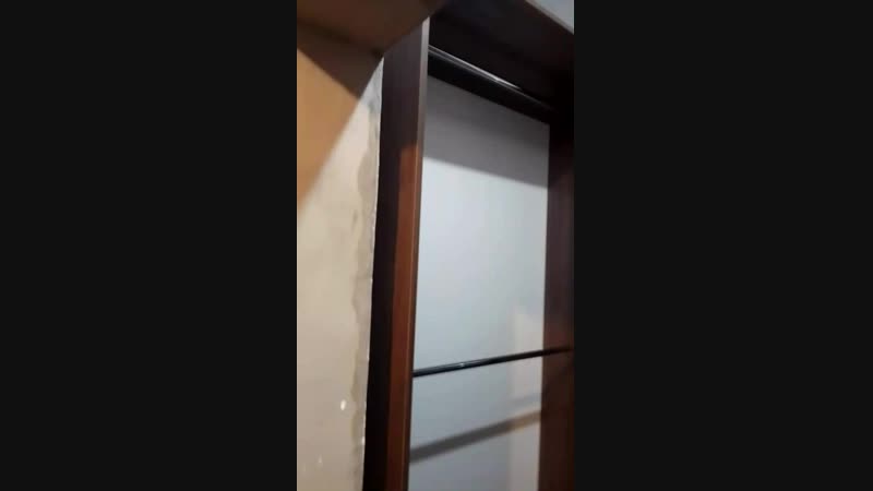 VID_20190202_170315.mp4