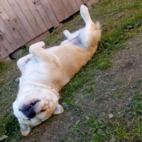 Яна Родионова | Окуловка