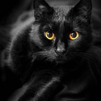 Машуля Ларина | 