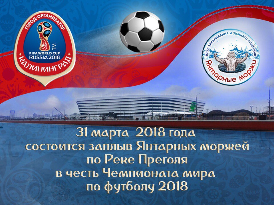 В Калининграде «моржи» проплывут по Преголе 800 метров В Калининграде «моржи» проплывут по Преголе 800 метров