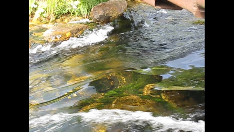 АХ ВОДИЧКА