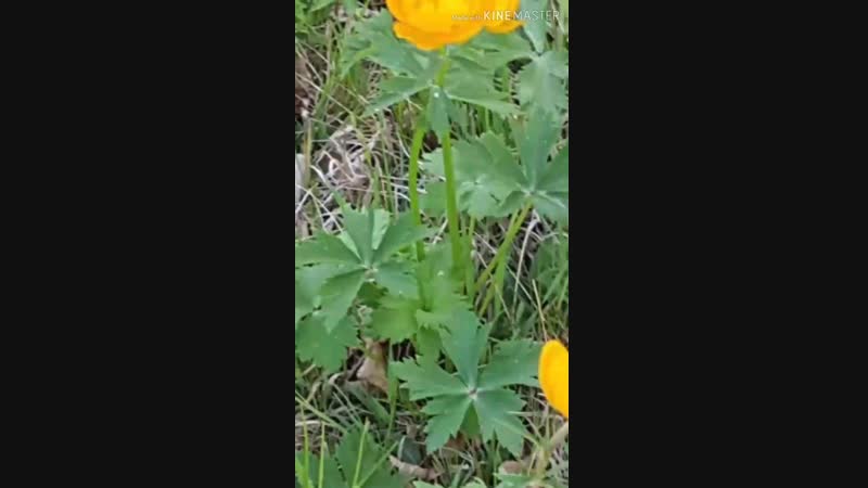 1080_30_9.mp4
