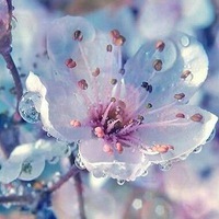 Наталья Федосова | Волгоград