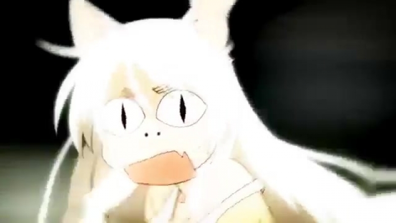 Nekomonogatari | История кошки