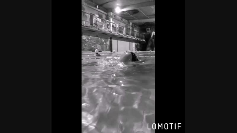 VID_35420517_162559_600.mp4