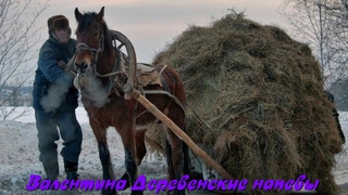 Муз.исп Сергей Шубный, Слова Евгений Богданов