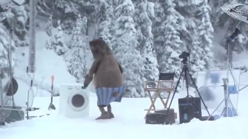 мишка