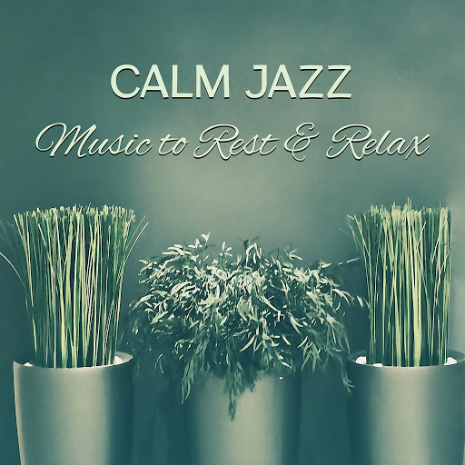 Vintage Cafe альбом Calm Jazz Music to Rest & Relax – Jazz Music to Calm Down, Moonlight Sounds, Chilled Jazz