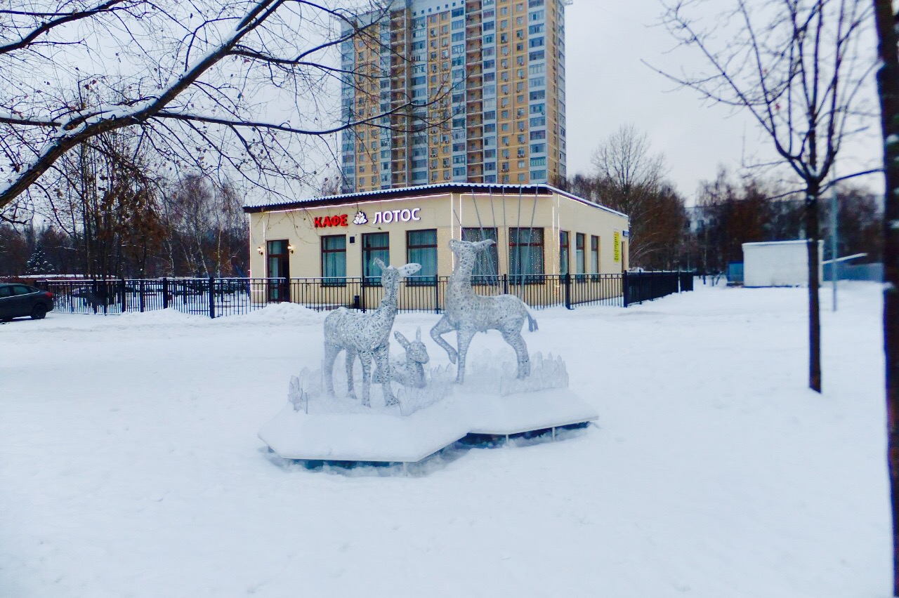 ������������ ����� �������� � ������ ���� ������ ��������� ������������ 