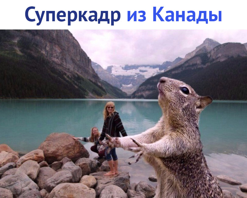 https://pp.userapi.com/c845416/v845416467/115d8f/Rx7F0_xP-W0.jpg