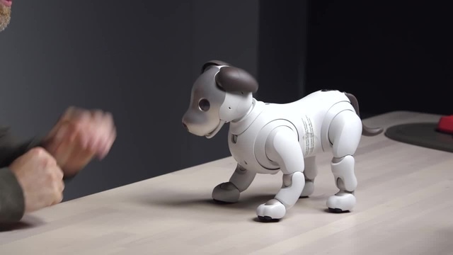 The $3000 Sony Aibo Robot Dog