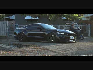 Bagged Shelby gt350 | Valley static | @xaviiair | Perfect Stance