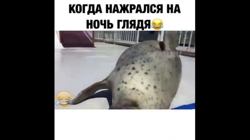 Когда нажрался на ночь..