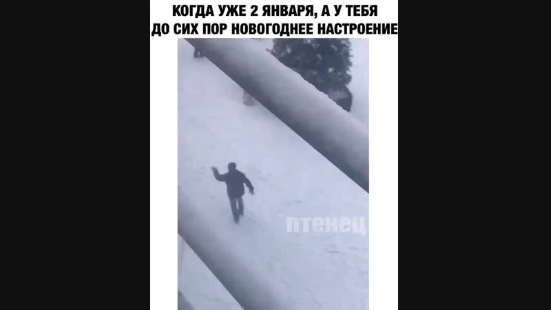 Video_deti_video_1546423992938.mp4