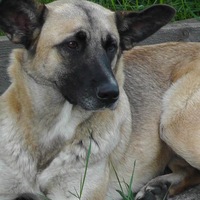 Юрий Ковалёв | Минск