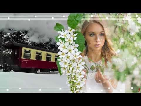 Проект Прошоу Продюсер Скорый поезд