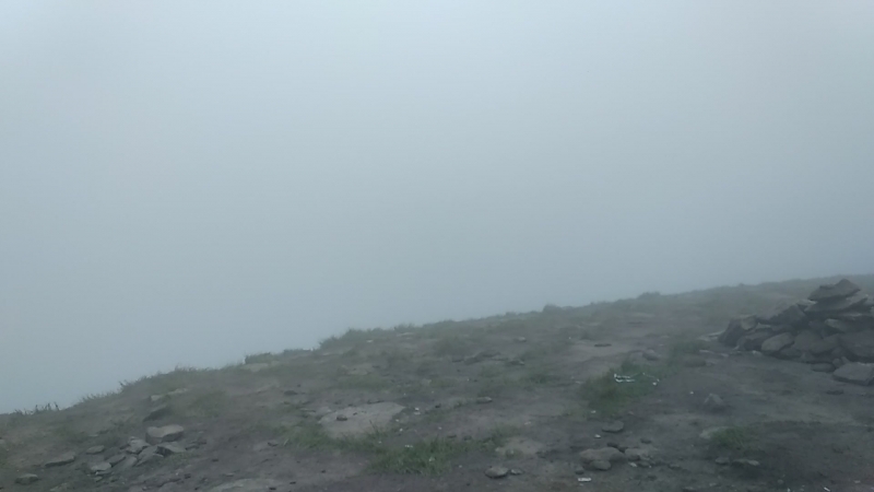 Гора Говерла Закарпатье. 08.07.18г.