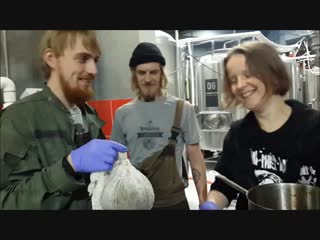 Закладка еловой хвои в пиво