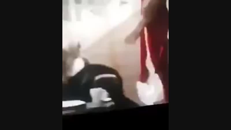 SLAP BITCH ASS