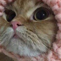 Натан Божевольнов