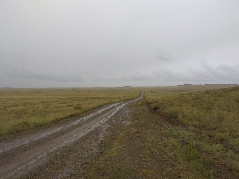 Вывезли в степь порно, фото анала большие жопы порно