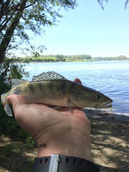 Рыбалка — Кубань, Республика Адыгея, 44.988, 39.102