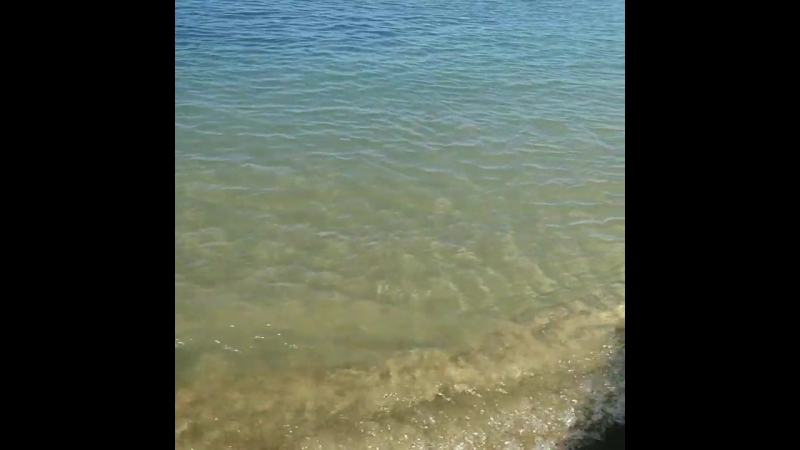 VID_30730605_133310_621.mp4