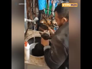Житель Турции спас умирающего щенка — Утром24