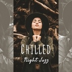 Vintage Cafe альбом Chilled Night Jazz
