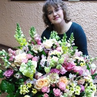 Елена Вечеркова