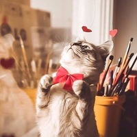 Мария Шинкаренко | Oradea