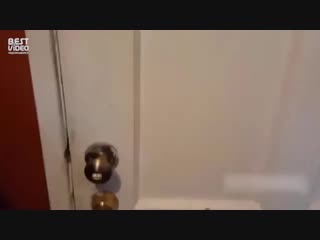 Когда пришел домой с гаража через 2 дня