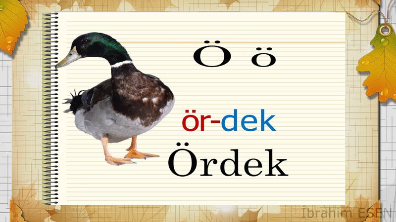 Resimli Türk Alfabesi