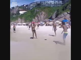 Собака играет в мяч на пляже