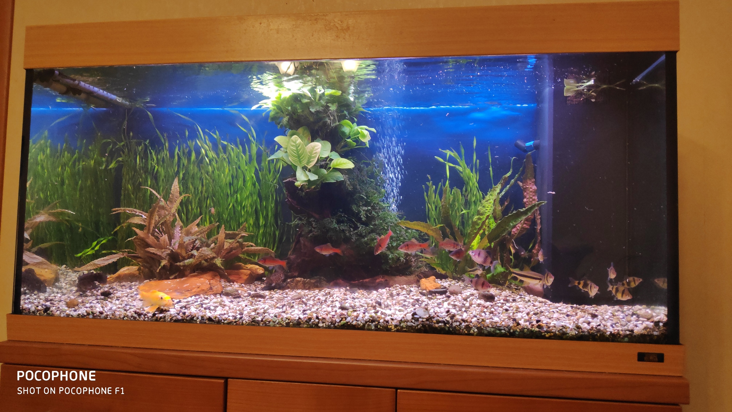 Картинка с форума