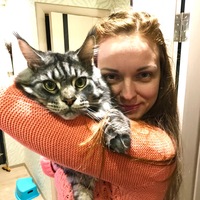 Светлана Шмидт