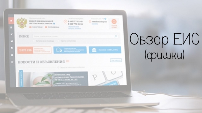Обзор сайта Zakupki.gov.ru