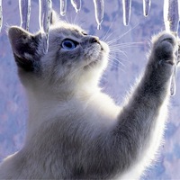 Оля Мишина | Ульяновск