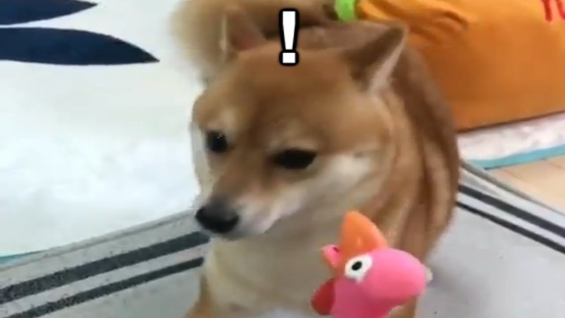 Duck.exe (spook warning)